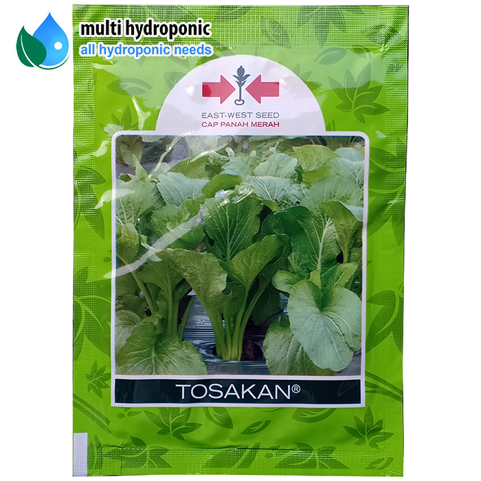 Benih Bibit Sawi TOSAKAN  25 gram
