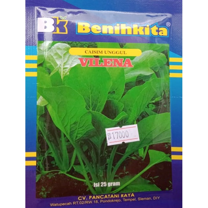 Benih sawi hijau Vilena