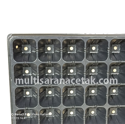 Tray semai tanaman 105 lubang